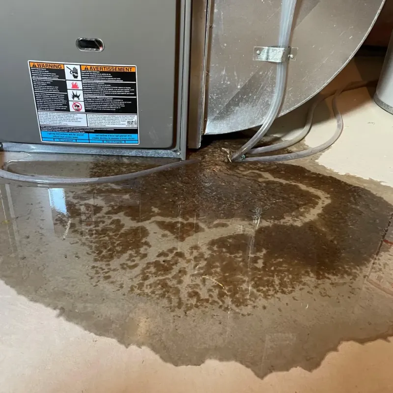 Appliance Leak Cleanup in Jordan, NY